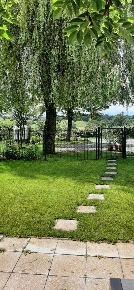 Le Papillon - Housity
