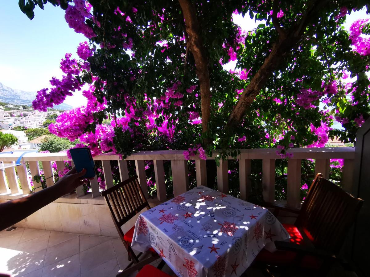 Villa Bose- Apartmani Luka Šodan - Housity