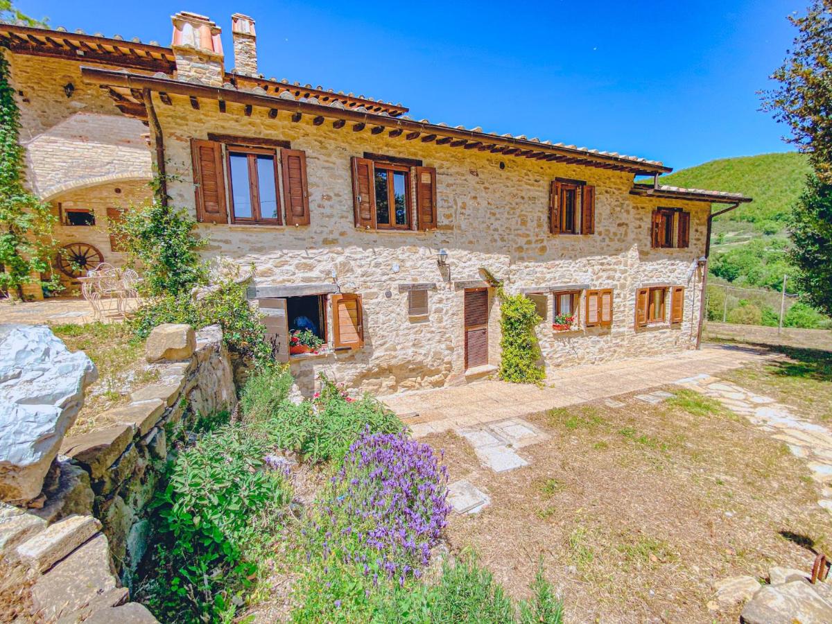 Ca' nel Bosco - 10 min da Assisi - Housity