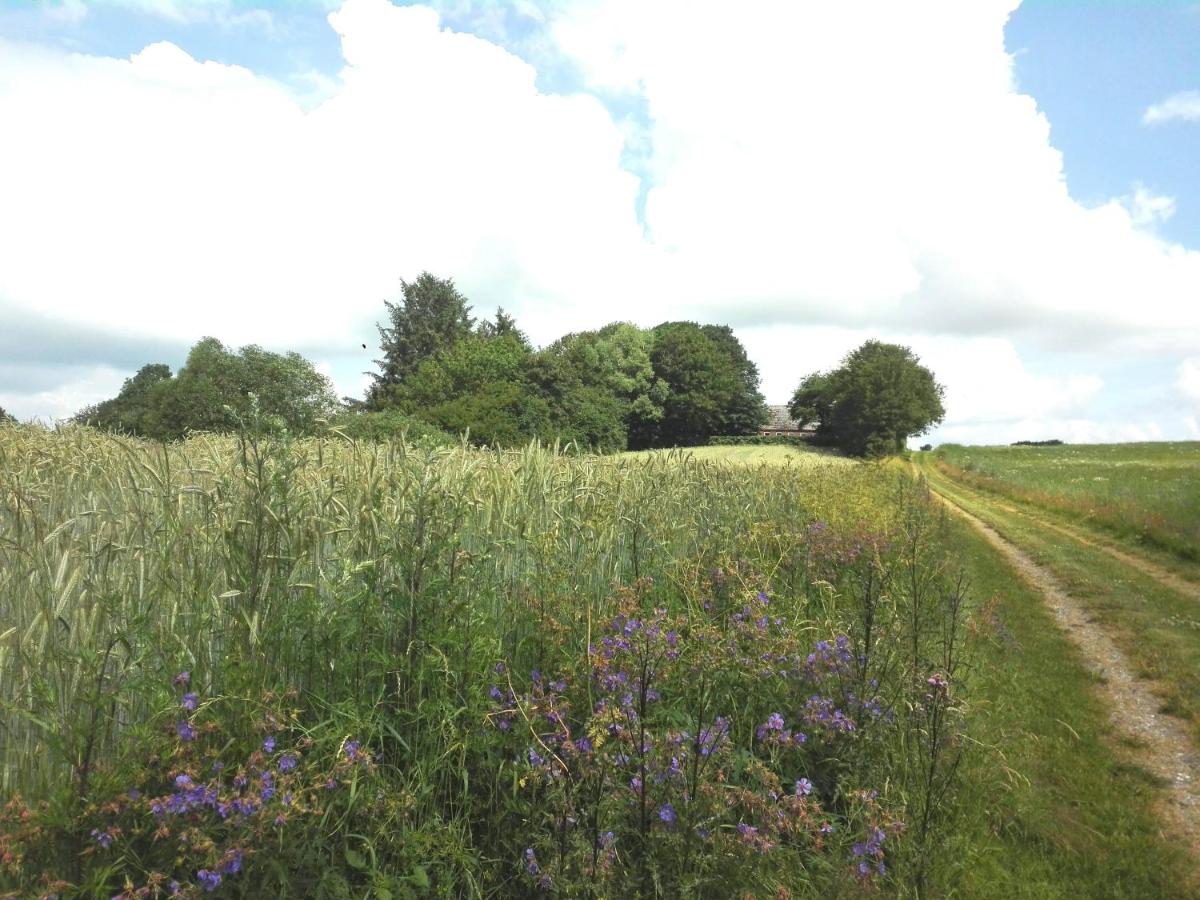 Holtens Gaard - Housity