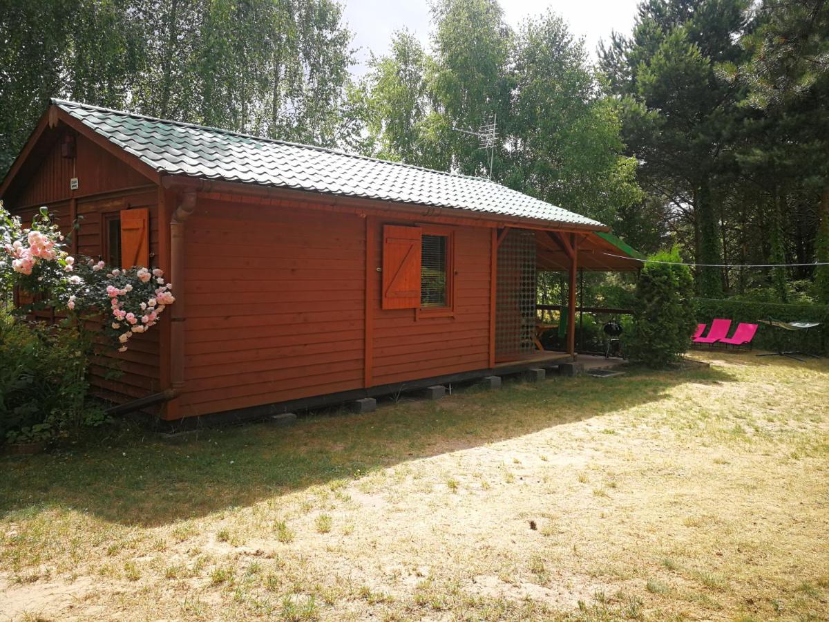 domki domek na jeziorem Wilczyńskim Budzisławskim , las, osobno ogrodzony 2-6 osób- klimatyzacja, ogrzewanie, 62-550 Zygmuntowo gm Wilczyn - Housity