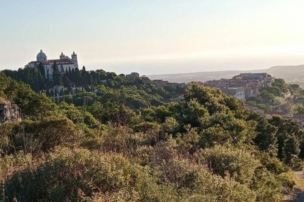 Mille e una notte - Q7038 - Housity