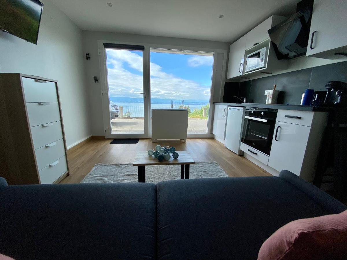 Les Vies en Rose - Housity