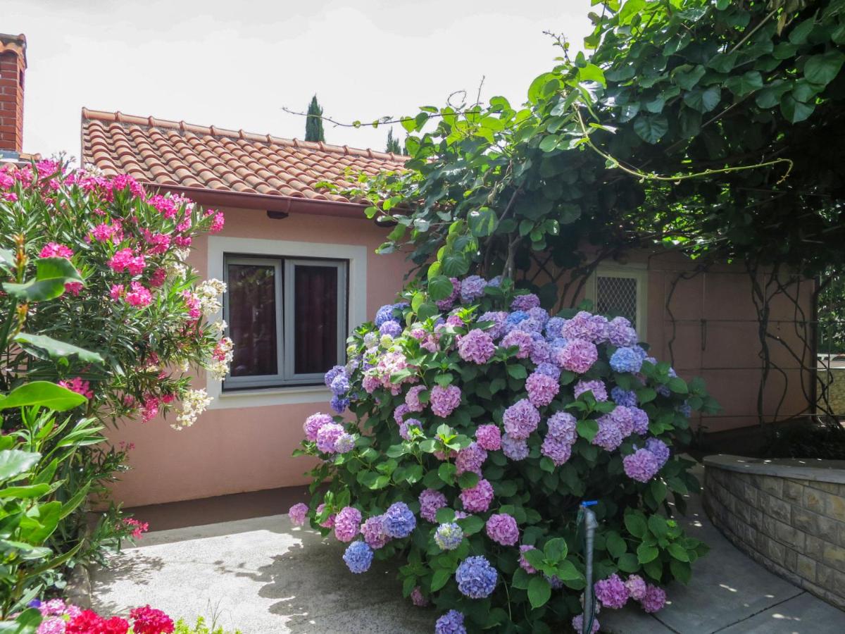 Holiday Home Catarina 1 - ZAD113 by Interhome - Housity