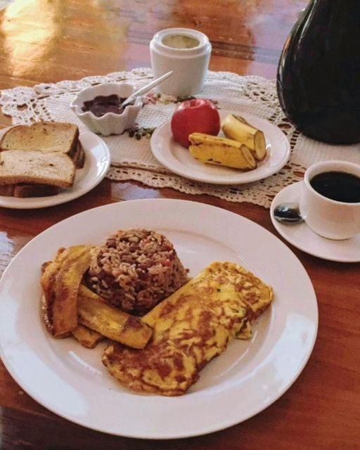 Hostel Bouganvilia Bed and Breakfast - Housity
