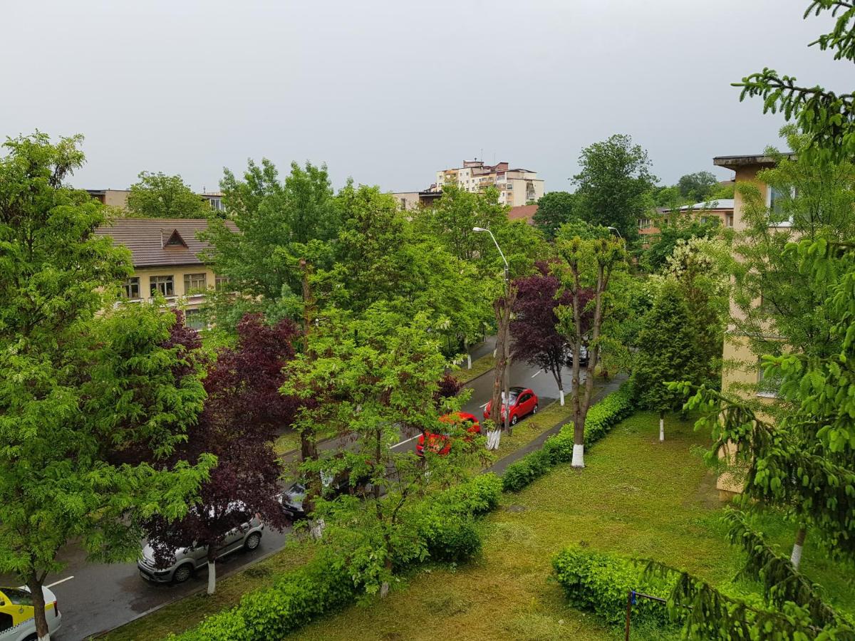 Aris Apartment - Hizvo