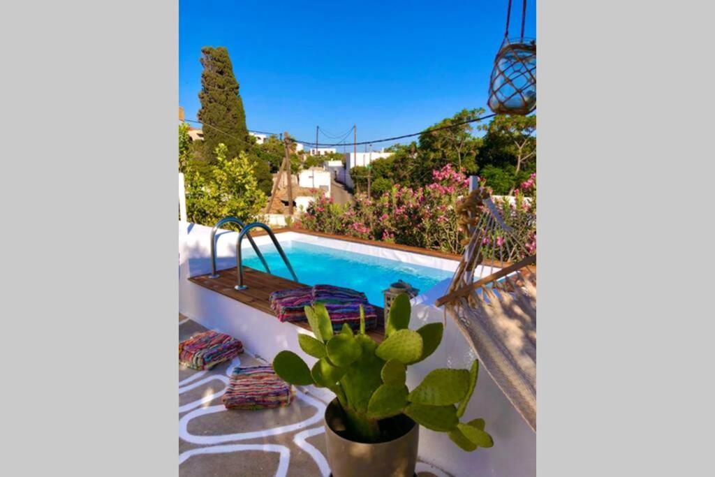 The Summer Pink House - Housity