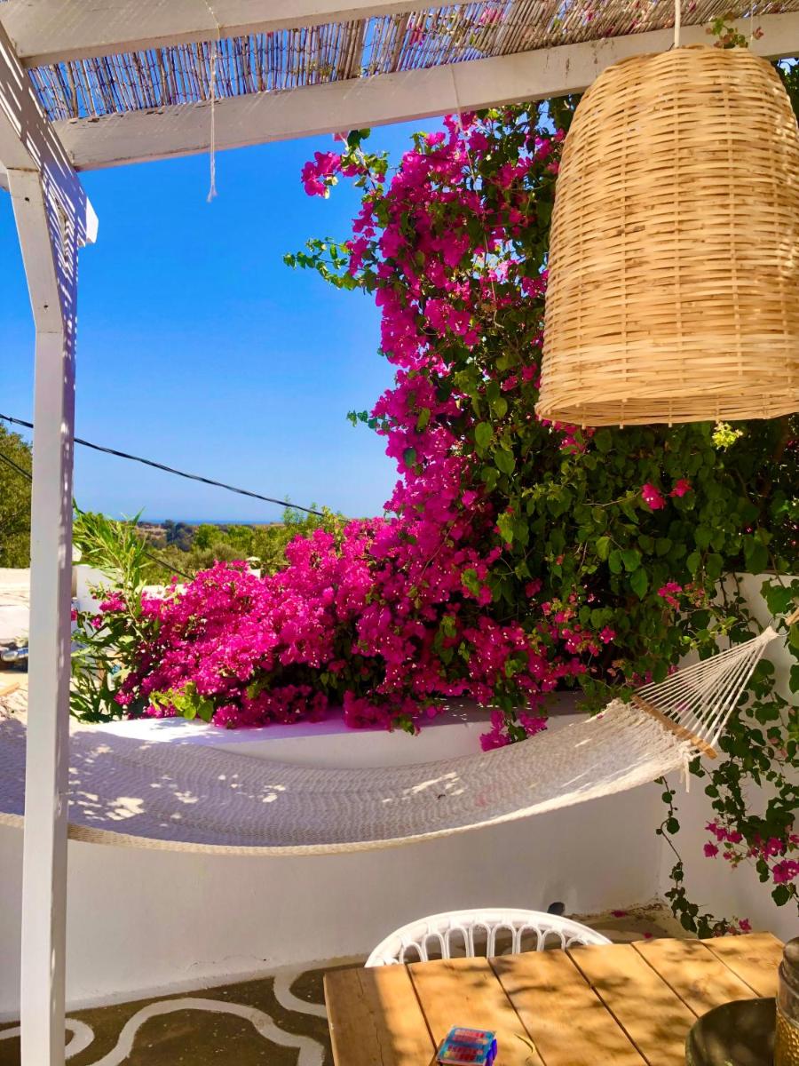 The Summer Pink House - Housity