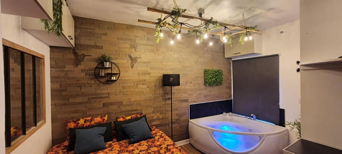 Wim' Chill, Studio Balneo 250M de la Mer, Centre ville - Hizvo