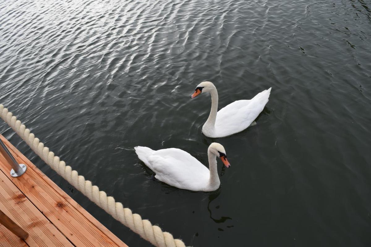 Tiere im Resort oder in der Nähe