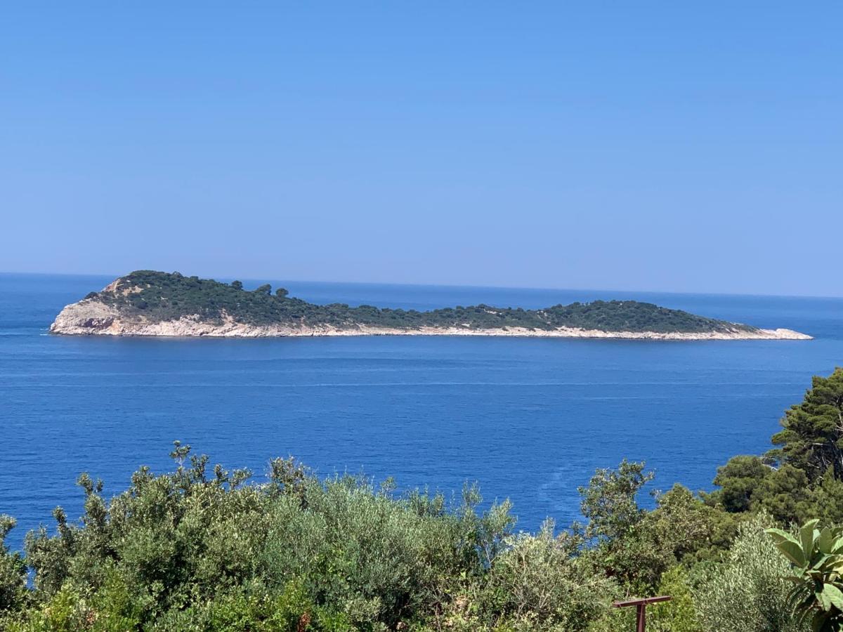 Apartment Zrinka - Housity
