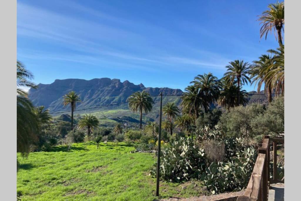 Casa Rural La Longuera de Tirajana - Housity