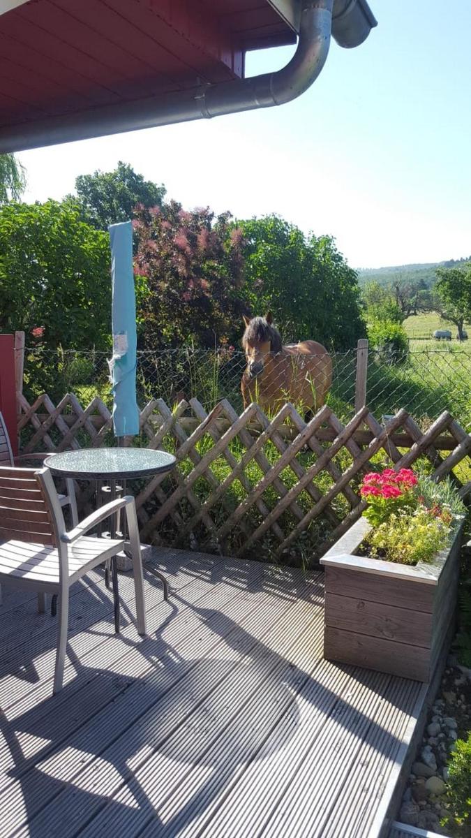 Birgit´s Ferienhäuschen - Housity