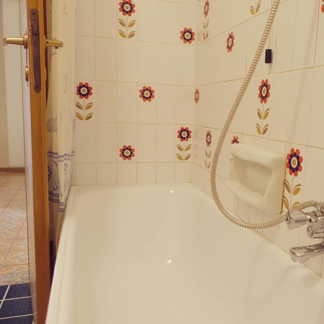House of cats - Hizvo