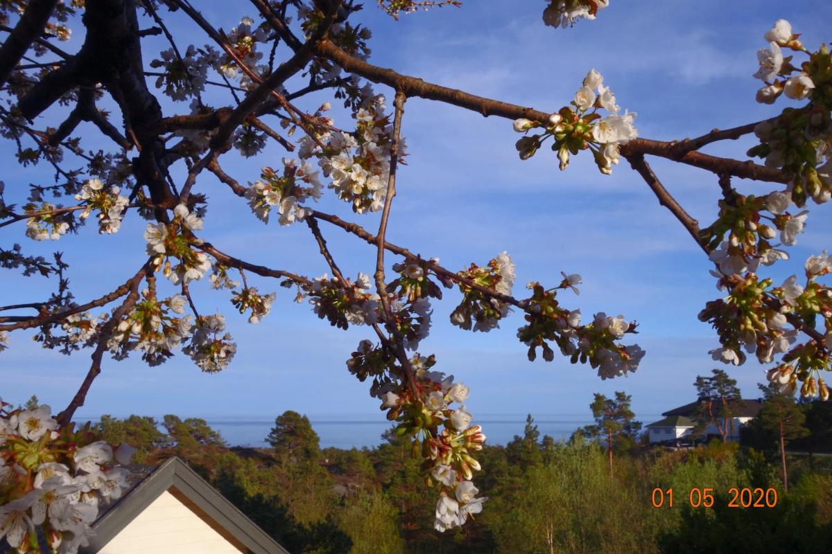 Risør Bed & Breakfast, Randvik Strand - Housity