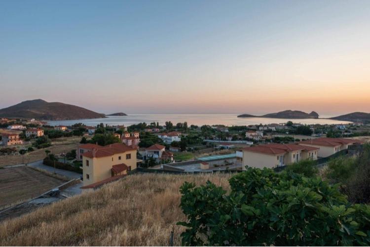 Platy Sea View Lxs - Housity