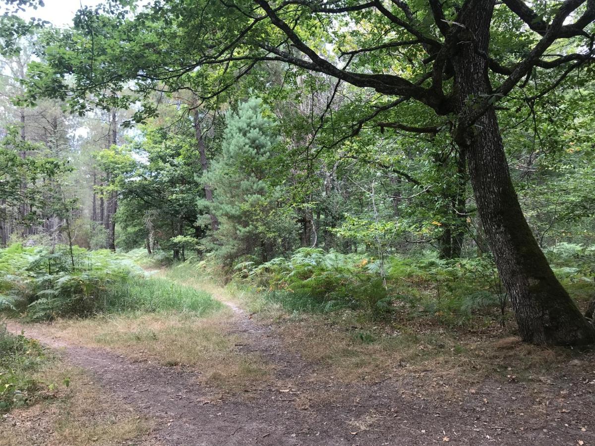 Gîte au cœur de la forêt à proximité du futuroscope - Housity