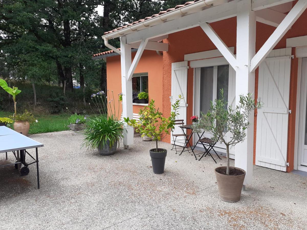 Belle vue 1076 - Housity
