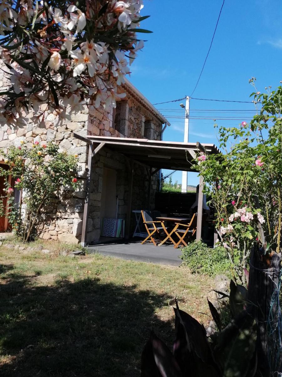 Sarrola-Carcopino Gîte en Pierre - Housity