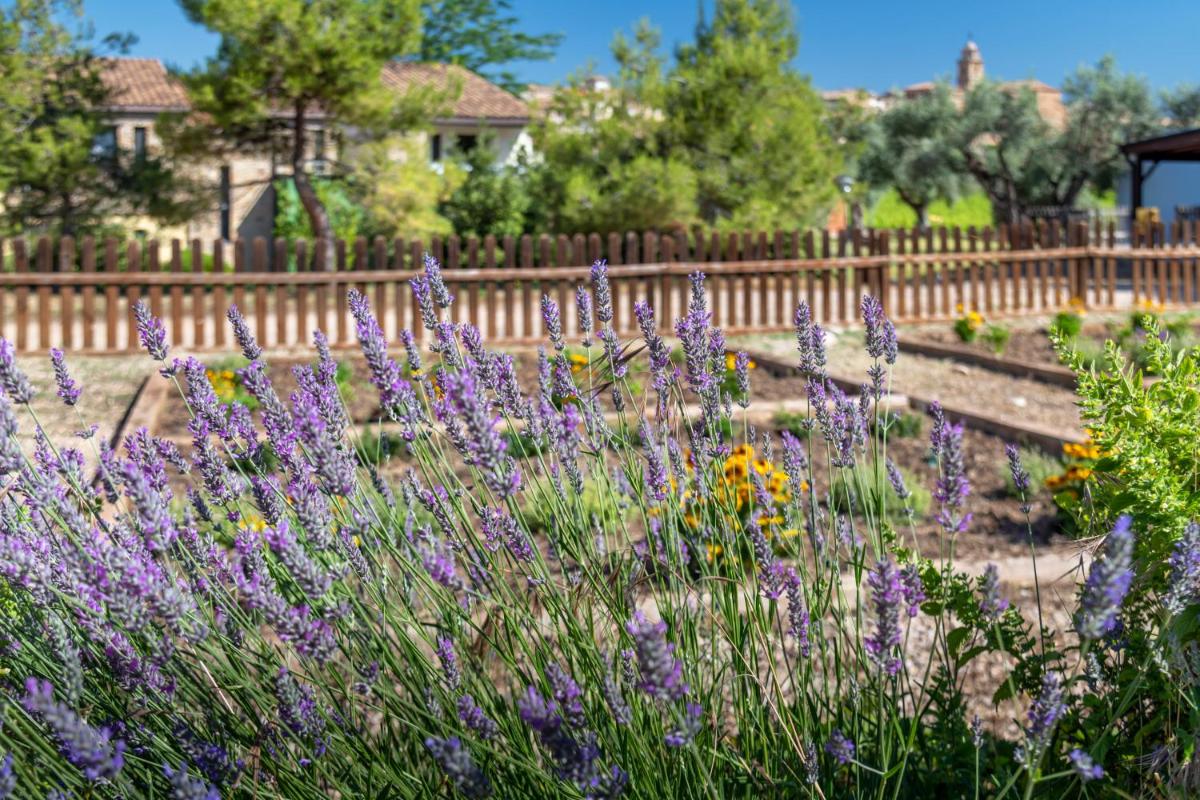 Jardín al aire libre en Hotel & Resort Vilar Rural d'Arnes by Serhs Hotels