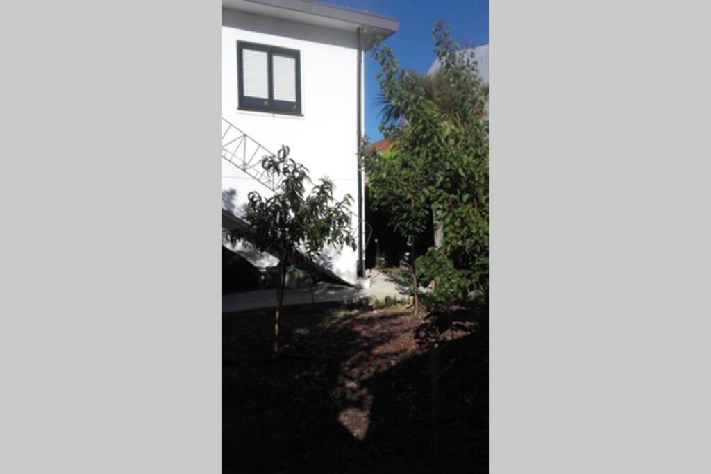 Casa Isabel 2 bedroom apartment near Porto - Housity