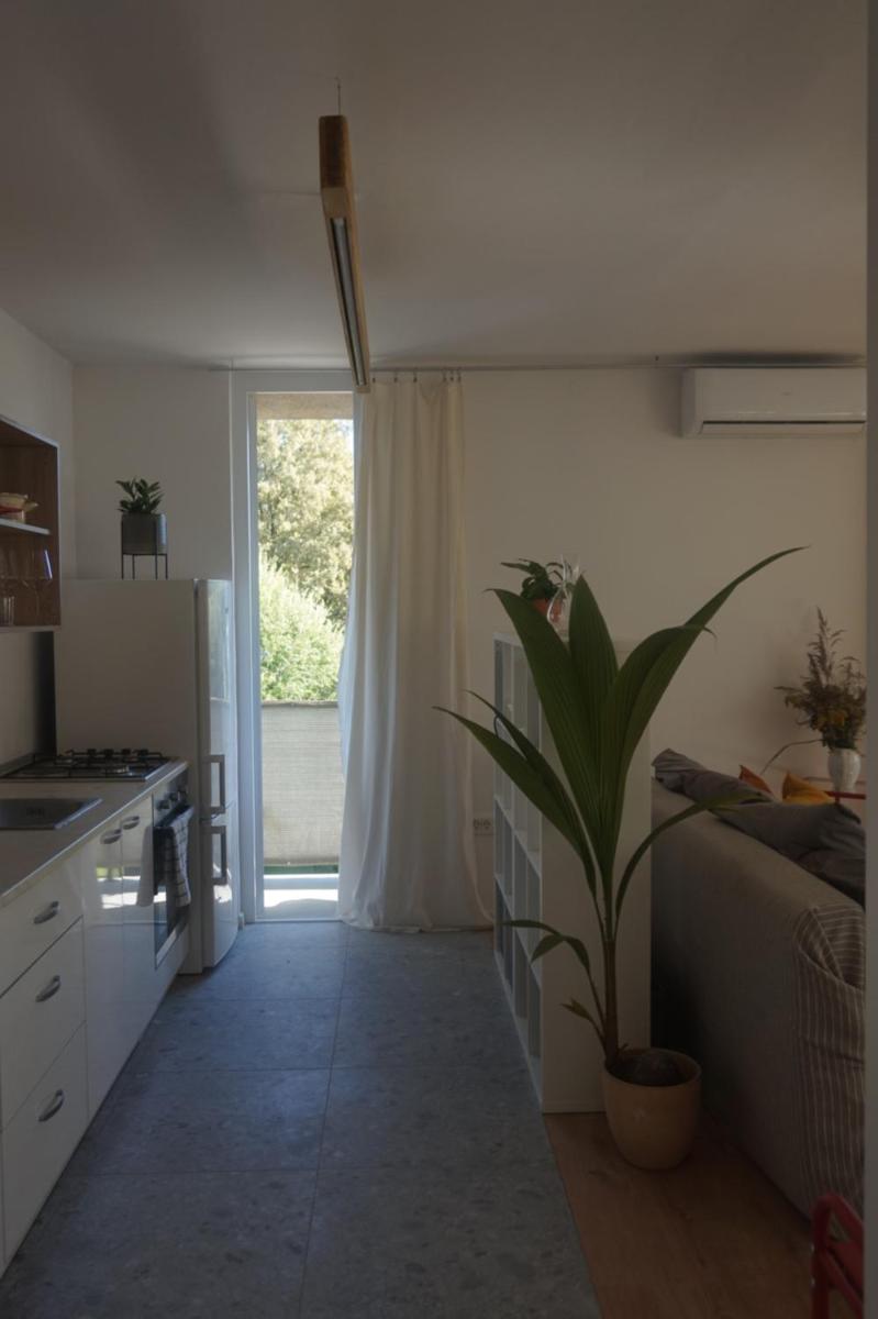 Central sunny sweet spot - Housity
