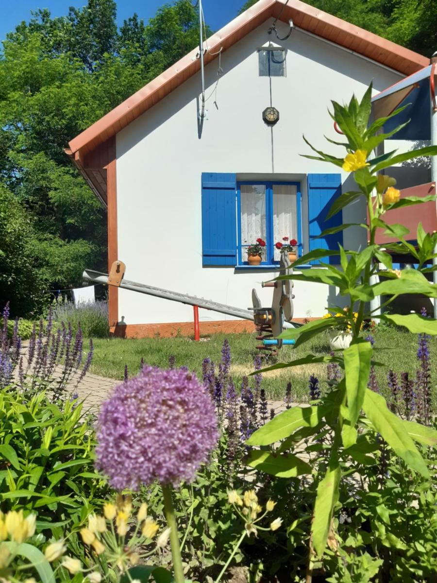 Domek na Podlasiu - Housity