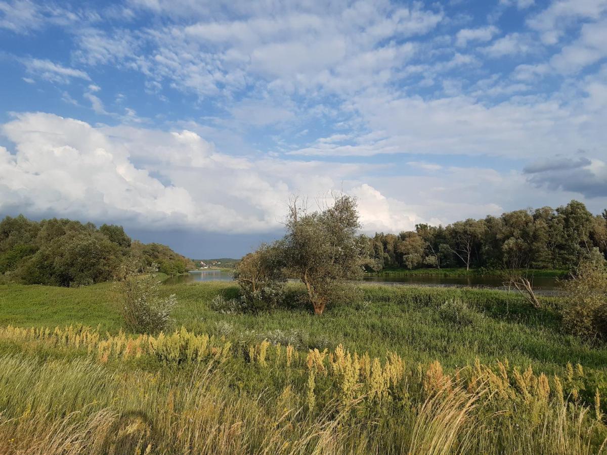 Domek na Podlasiu - Housity