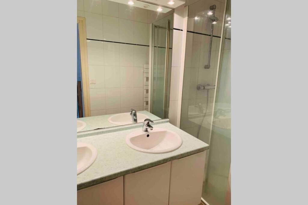 La roseraie de L arguenon, appartement charmant centre ville - Housity