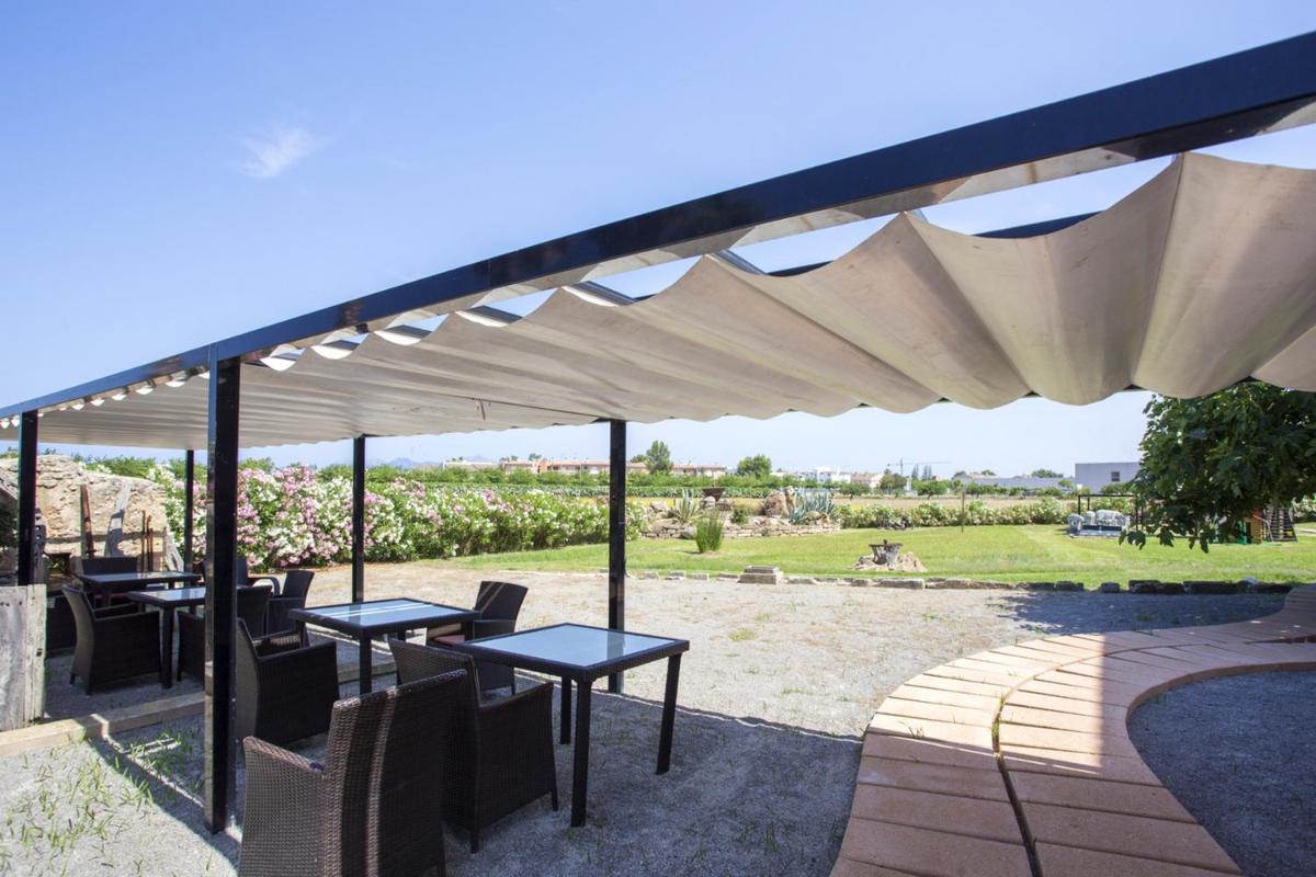 Spacious apartment in Pollenca with mountain view - Housity