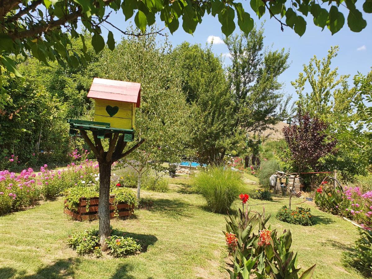 Danica House - Housity