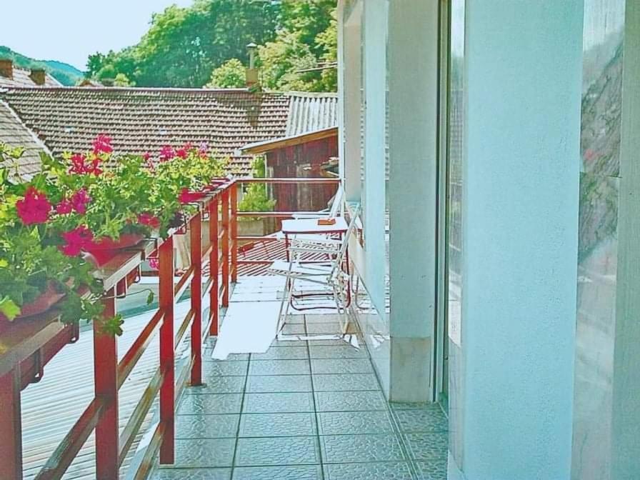 Pensiunea Ca La Mama Acasa - Housity