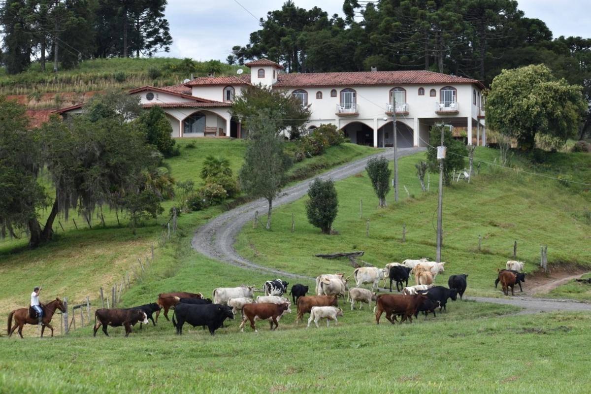 Pousada Fazenda da Invernada - Housity