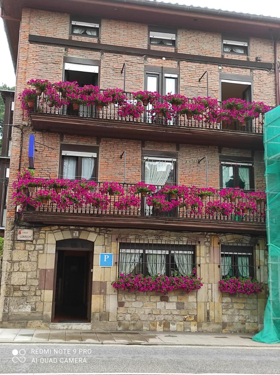 Pensión Rosa - Housity