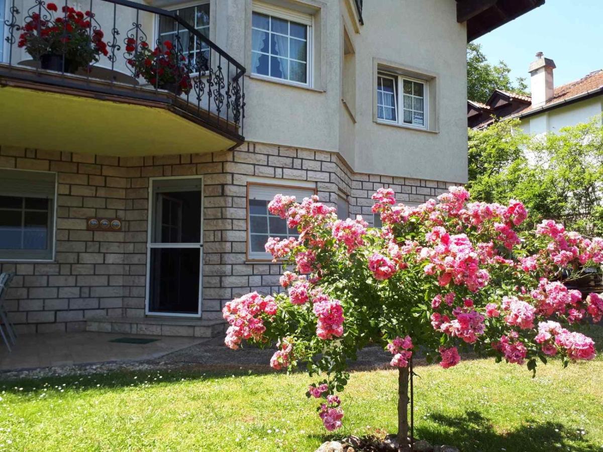 The Pearl of the Danube Bend - Regina Apartman - Housity