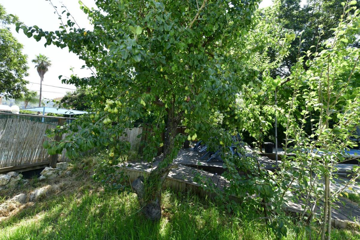 Tzlil Hateva - Housity