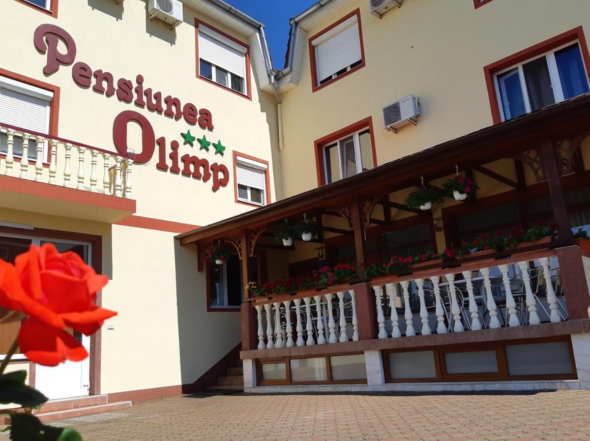 Pensiunea Olimp - Housity