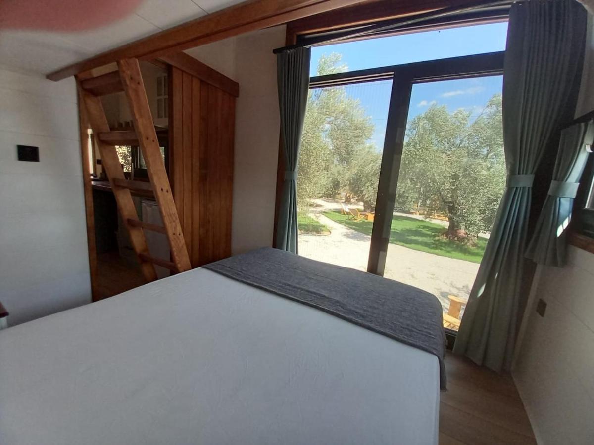 Comfortable Tiny House Surrounded by Olive Trees near Beach in Ayvacik - Housity