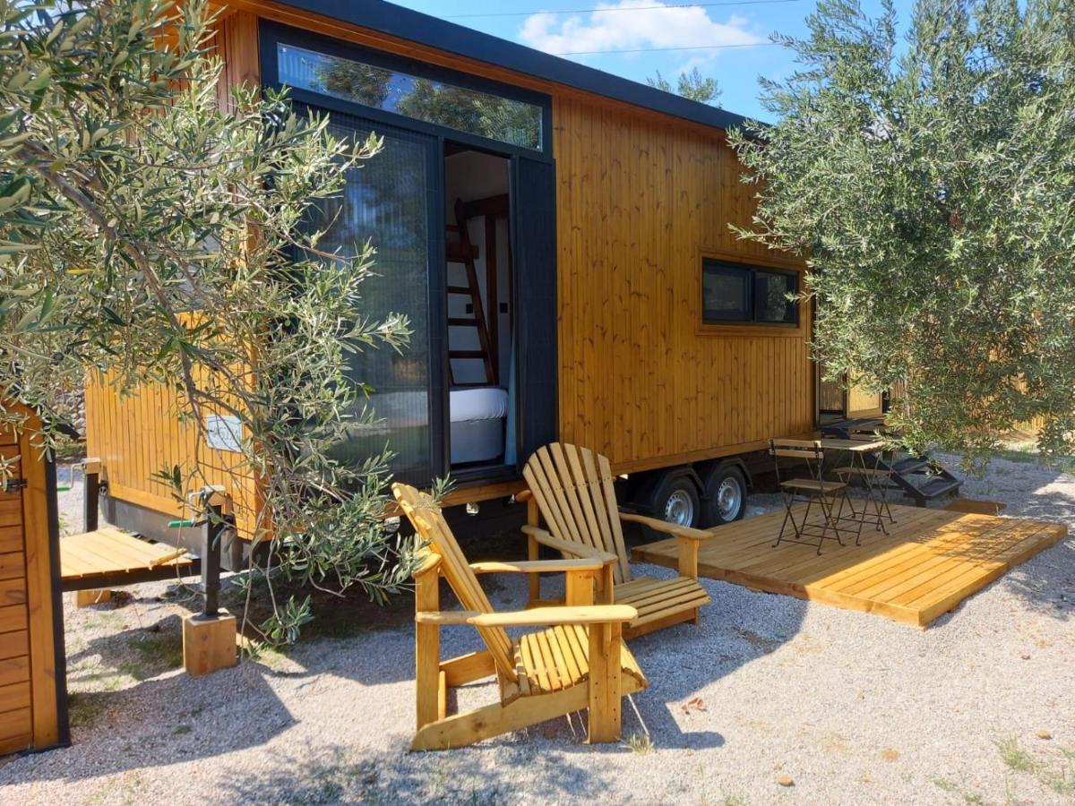 Comfortable Tiny House Surrounded by Olive Trees near Beach in Ayvacik - Housity