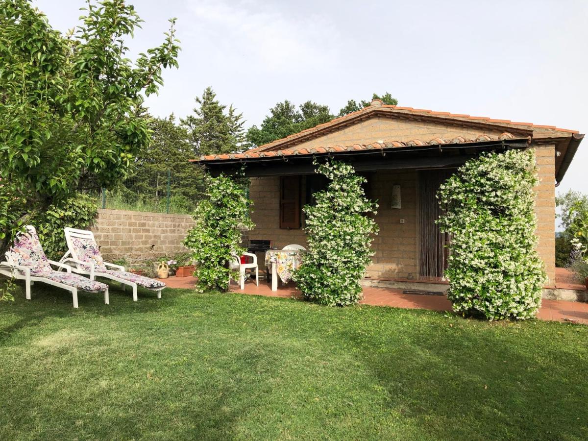 Monolocale La Mimosa - Housity