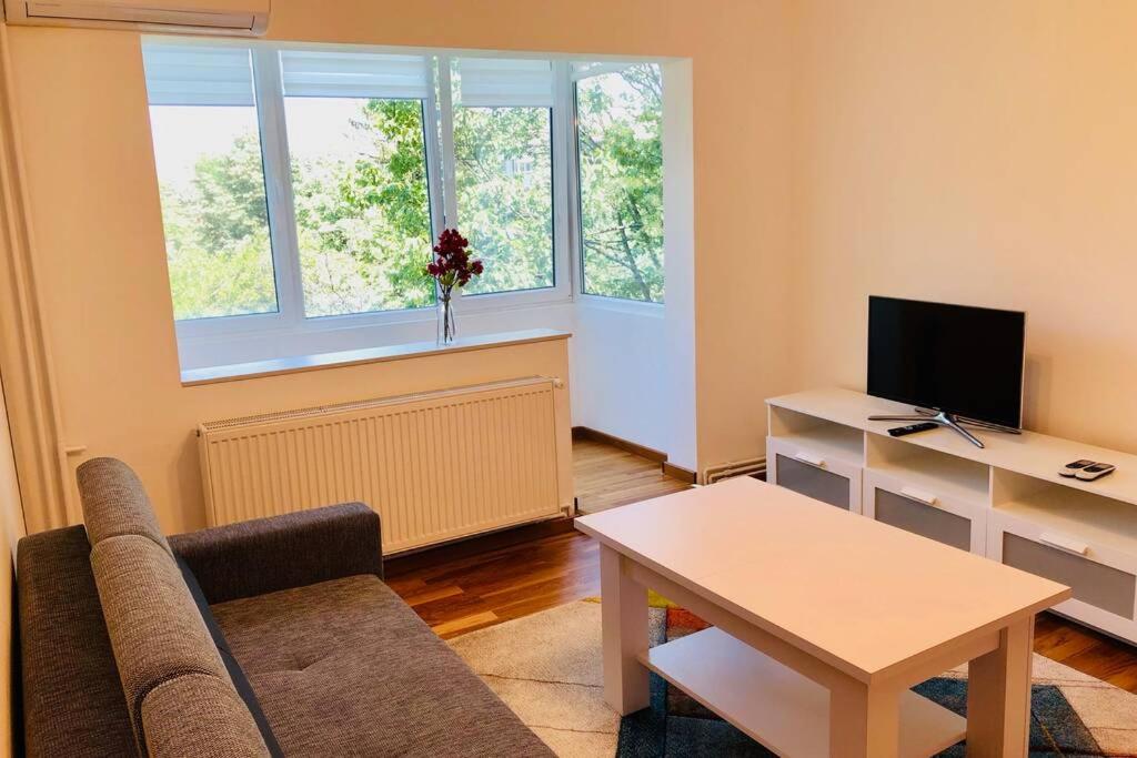 Joy City Stay Iasi 15 - Housity