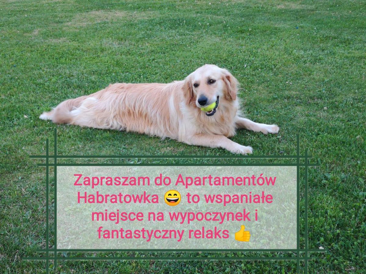 Habratowka Apartamenty całoroczne Bieszczady - Housity