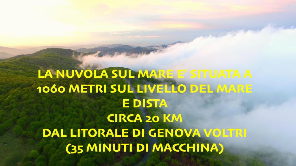 La Nuvola sul Mare - Housity