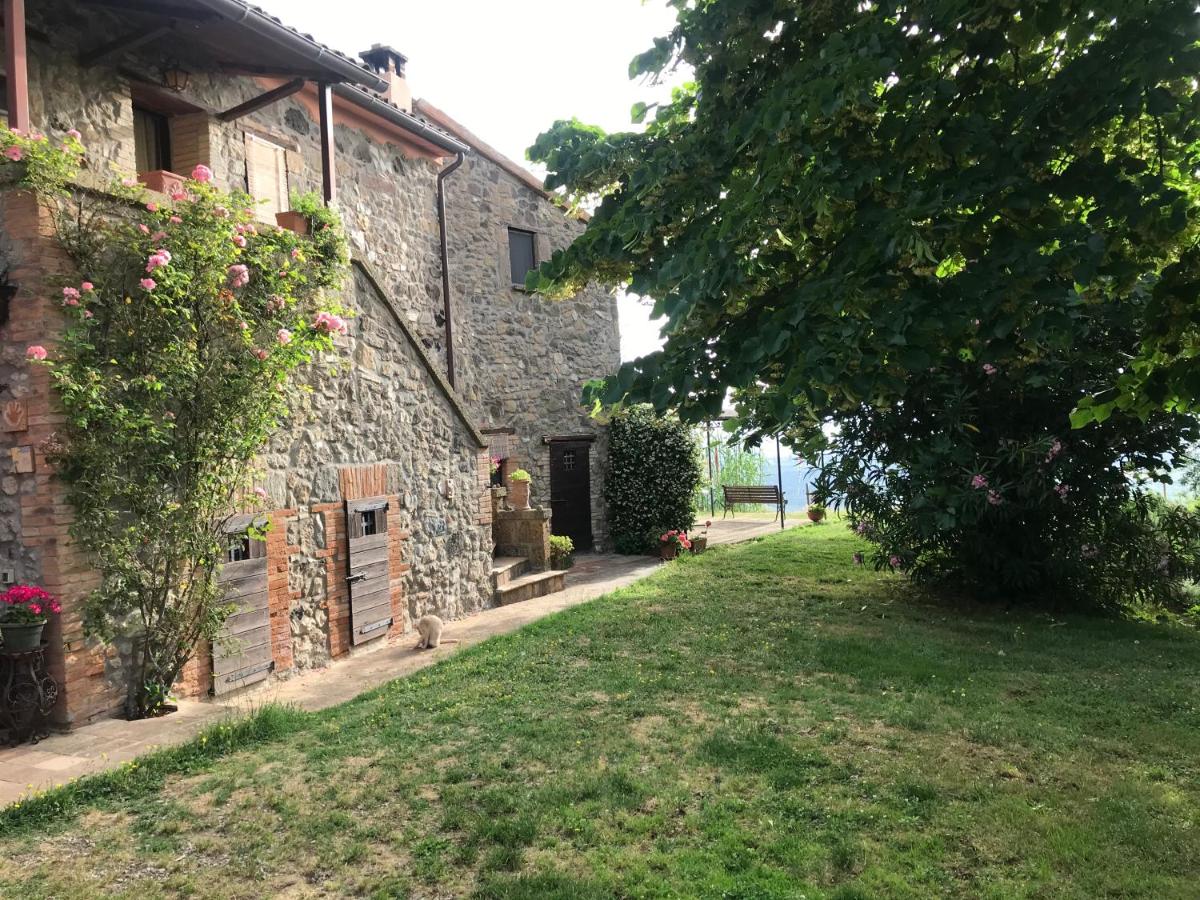 Podere Porcino - Housity