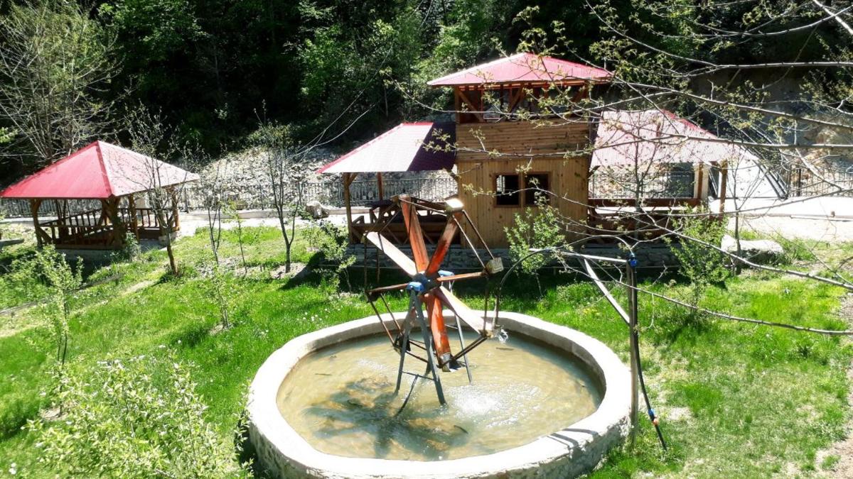 Doga ile basbasa Eko yayla - Housity