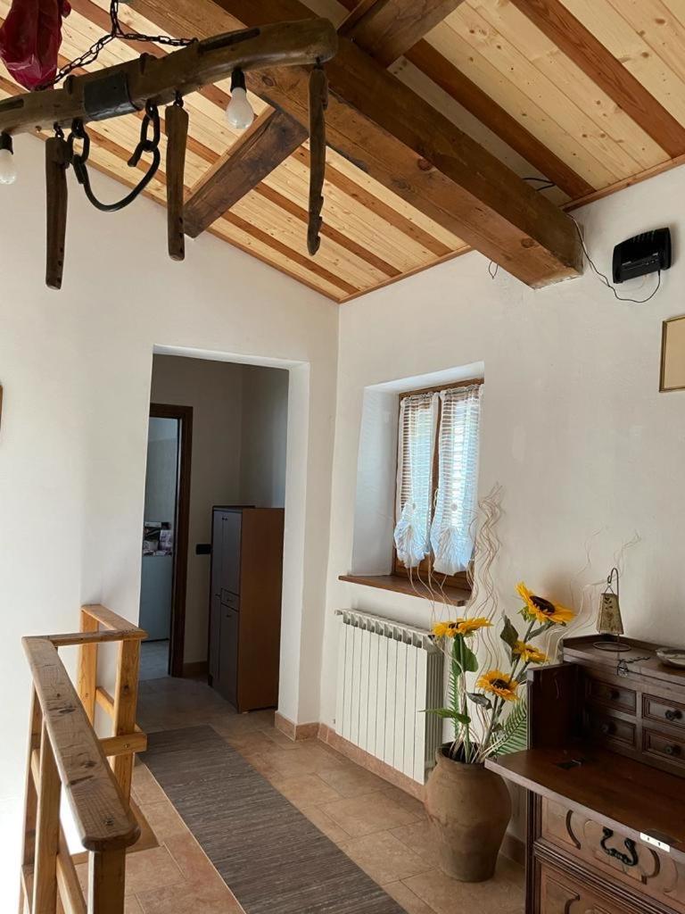 THE DORMOUSE - Il Ghiro - Housity