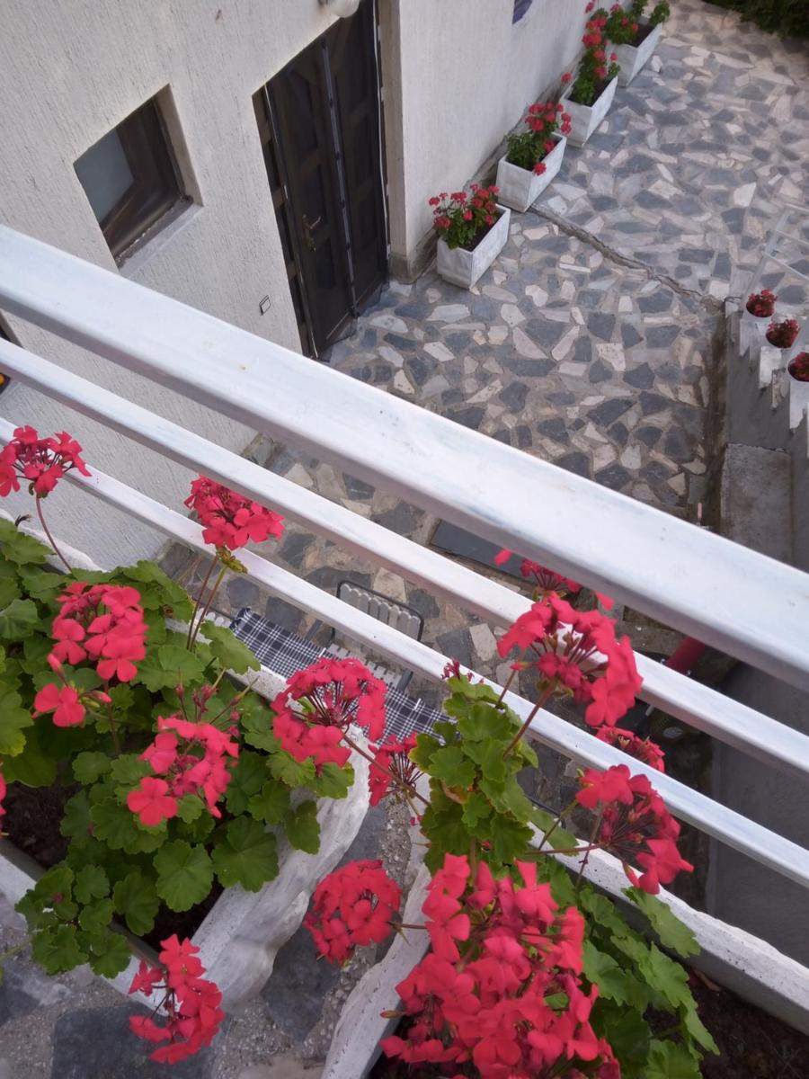 PANORAMA - Housity