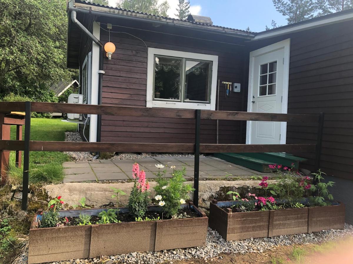 Paradiset stugan i fin skogen - Housity
