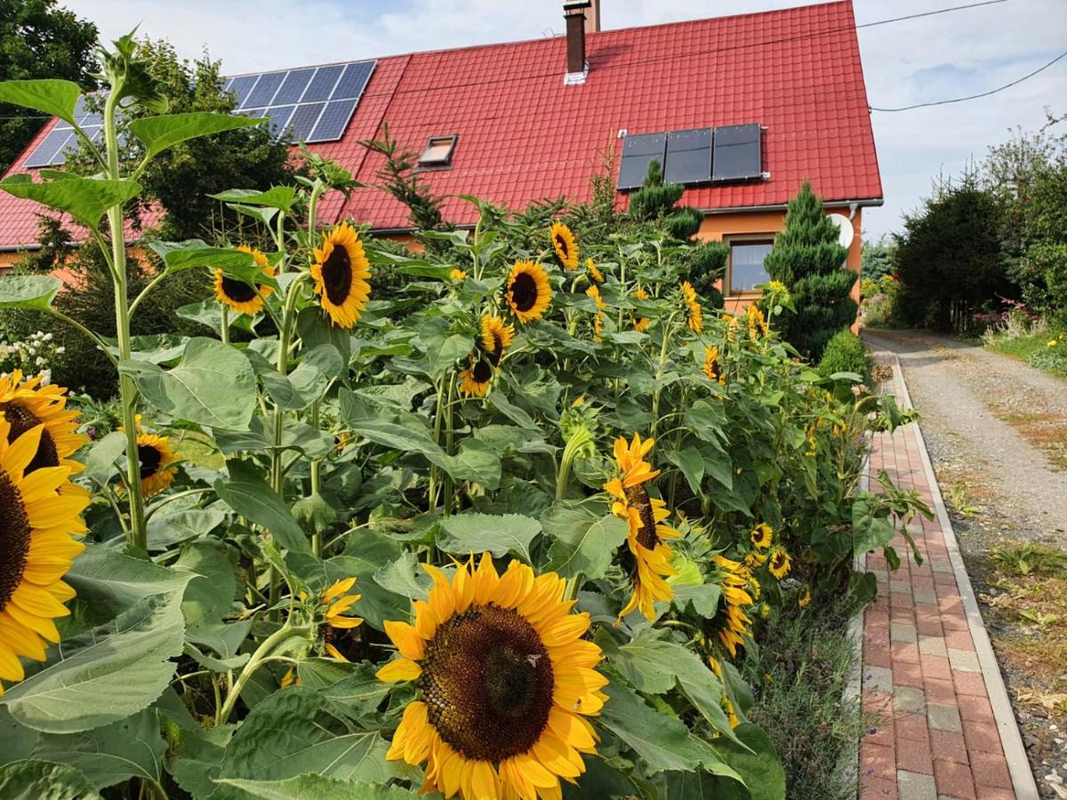 UDany Wypoczynek - Housity