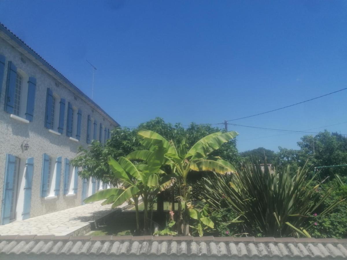 La belle époque - Housity